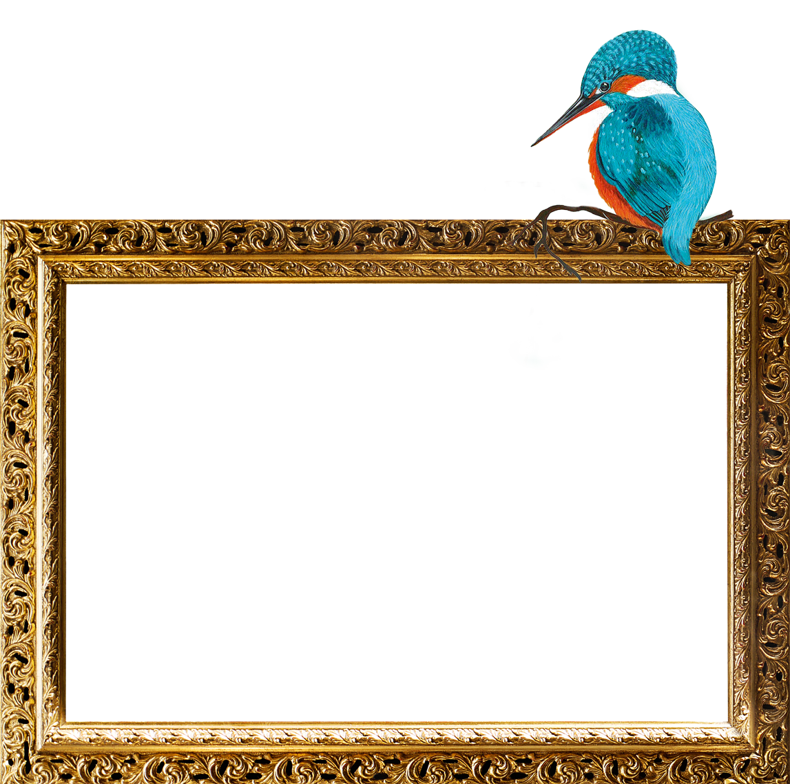 Text zum Bild